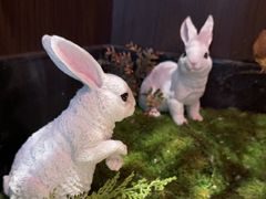 -喜湘宴·精致湖南菜(和平西桥店)