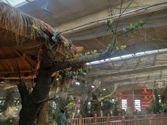 -南宫五洲植物乐园