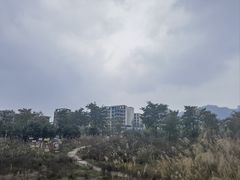 -樱桃山旅游景区