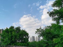 -府河摄影公园