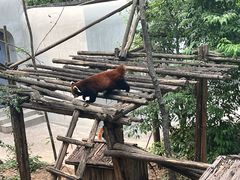 -昆明动物园