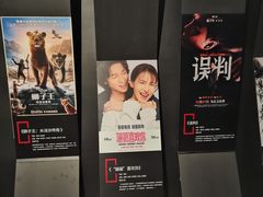 -寰映影城(大融城激光IMAX店)