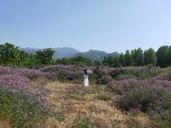 -秦岭风景区