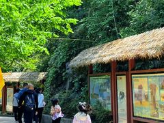 -栾川竹海野生动物园