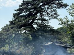 -潭柘寺景区