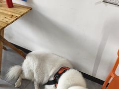 -中国体育彩票(竞彩店)