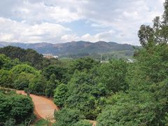 -昆明植物园