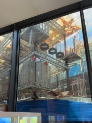 -PIPIKINGDOM皮皮王国欢乐号(欢乐海岸购物中心店)