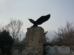 景点-北京鹫峰国家森林公园