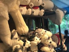 -TrueLove @ Neverland (Husky Cafe)