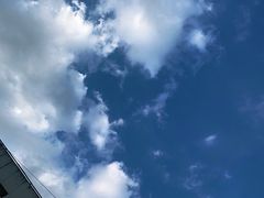 -网鱼网咖(浦东长岛路店)