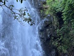 -马峦山郊野公园