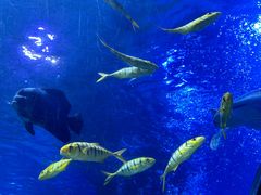 -太平洋海底世界