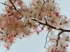-白石龙音乐公园