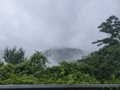 -东白山