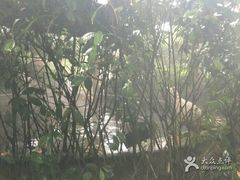 -杭州第一世界大酒店·云曼温泉