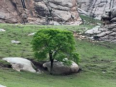 -克什克腾世界地质公园青山景区