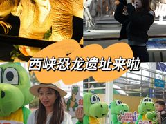 -中国西峡恐龙遗迹园
