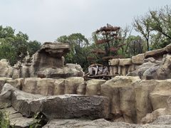 -武汉动物园