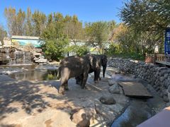 -北京野生动物园