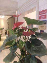 -昆明梦想医疗美容医院