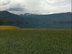 -月亮湾景区
