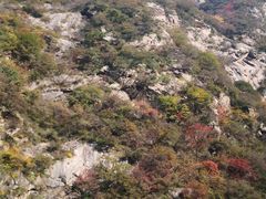 -少华山国家森林公园