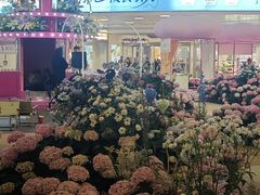 -上海长风大悦城