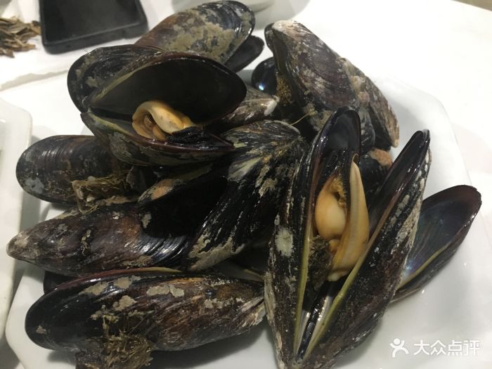 东极东福山晓炎排档淡菜图片 - 第2张