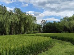 -北坞公园