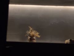 -森SPA·泰式按摩·精油Massage(宝安中心店)