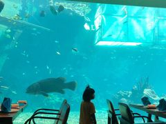 -海棠湾洲际-涛·海底餐厅·美人鱼·自助餐·海底隧道