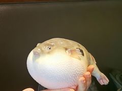 -永安鱼庄·镇江菜(东吴路店)