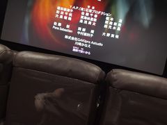 -大光明丽星VIP影城(昌里路杜比全景声店)