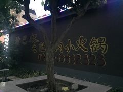 -珍巴奴毛肚牛肉小火锅(四惠店)