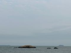 -椰风寨