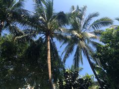 -三亚亚龙湾雅高美爵酒店