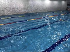 -蓝海豚游泳俱乐部(南京西路店)
