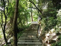 -火炉山森林公园
