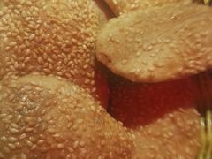 土炉烧饼-馋火炉鱼(新世界百货望京店)