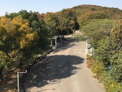 -虞山城墙