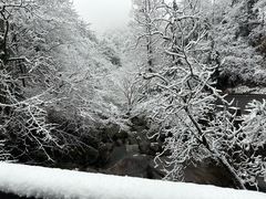 -安吉龙王山风景区