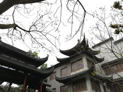 -龙潭水乡