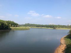 -惠州白鹭湖雅居乐喜来登度假酒店-采悦轩中餐厅