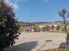 -长虫山生态公园风景林