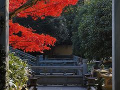 -慧因高丽寺
