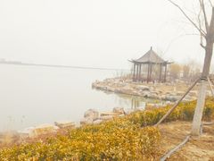 -天津东丽湖风景区