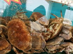 -港畔赶海蒸汽海鲜烧烤自助(仙螺岛店)