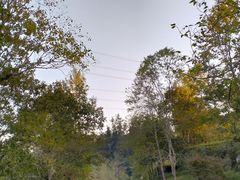 -唐崖土司城遗址