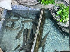 -山水茶艺馆·点心粤菜·30年老字号